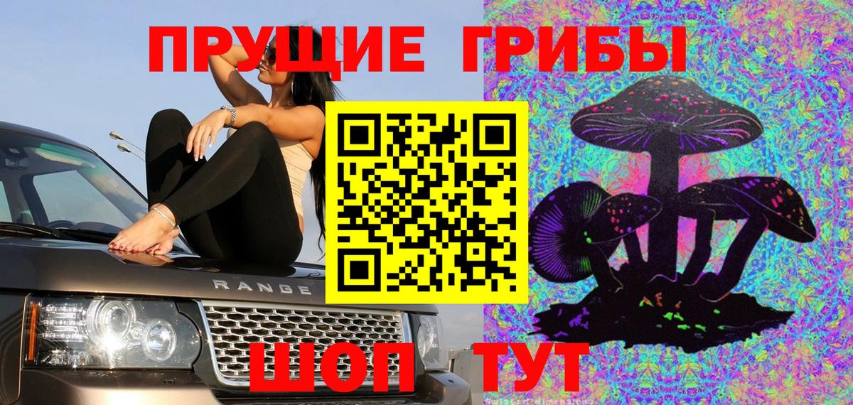 Галлюциногенные грибы прущие грибы Северобайкальск