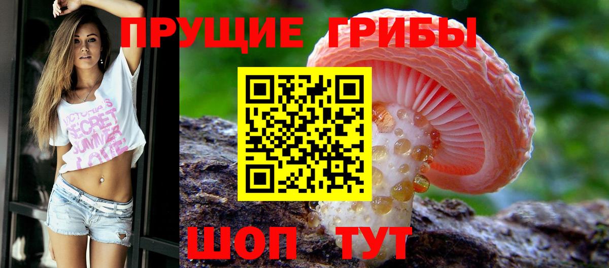 Северобайкальск  Галлюциногенные грибы Magic Shrooms  Псилоцибиновые грибы Magic Shrooms  Вход с VPN 